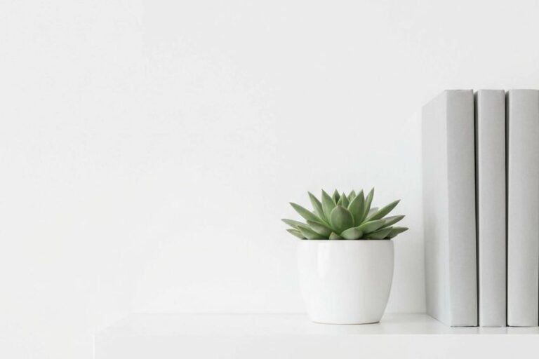 Minimalistisches Wandregal mit Pflanze und Büchern