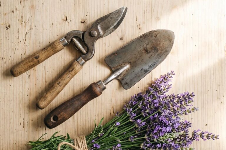 Gartenschere, Handschaufel und Lavendel auf hellem Holz