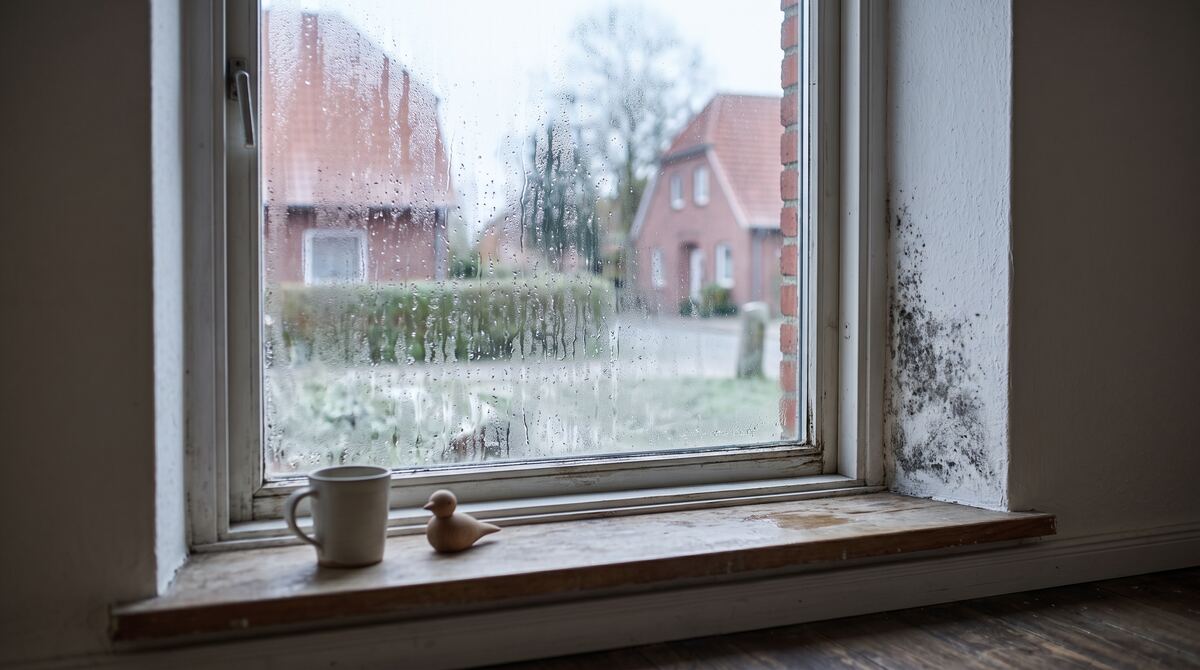 Kondenswasser am Fenster und dunkle Stockflecken in der kalten Raumecke